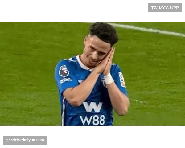 升班马桑德兰稳居中游 英超强弱差距进一步缩小